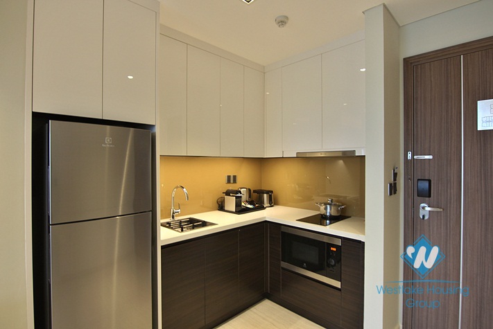 A brand new 1 bedroom apartment with gym, pool in Tay ho, Ha noi