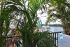 Lake view one bedroom apartment for rent in Tu Hoa, Tay Ho