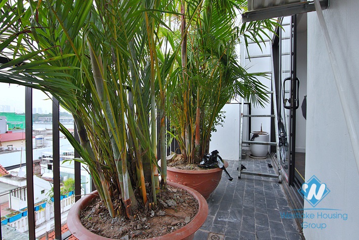 Lake view one bedroom apartment for rent in Tu Hoa, Tay Ho