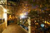 An extremely splendid and spacious villa for rent in Starlake Compound, Tay Ho