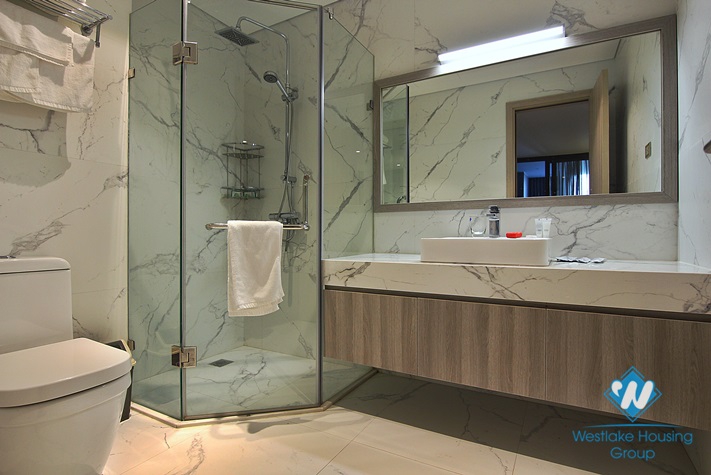 Beautiful apartment in Nguyen Dinh Thi st, near Lotte building for rent 