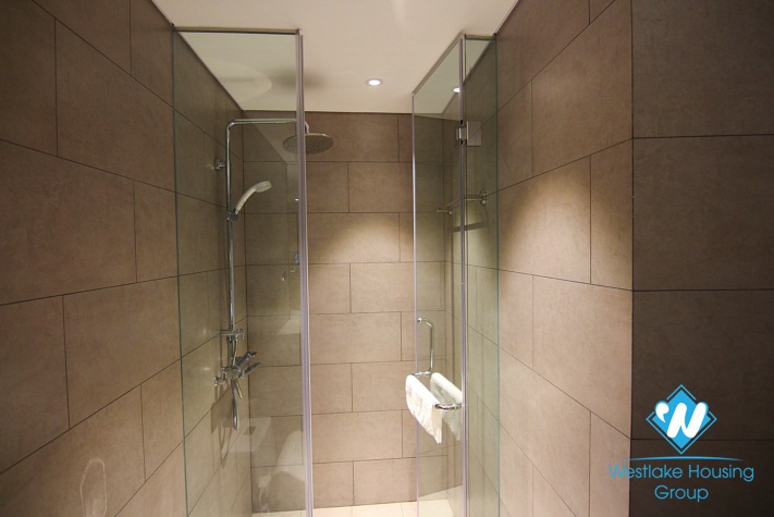 Nice design with modern furniture's for rent in Tu Hoa st, Tay Ho District 