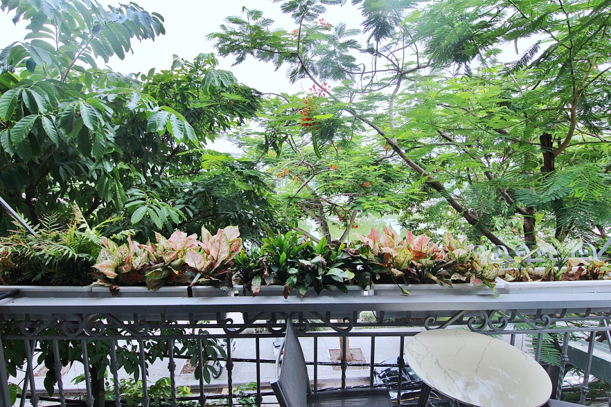 Lake view studio for rent in Trinh Cong Son walking street, Tay Ho