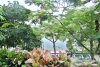 Lake view studio for rent in Trinh Cong Son walking street, Tay Ho