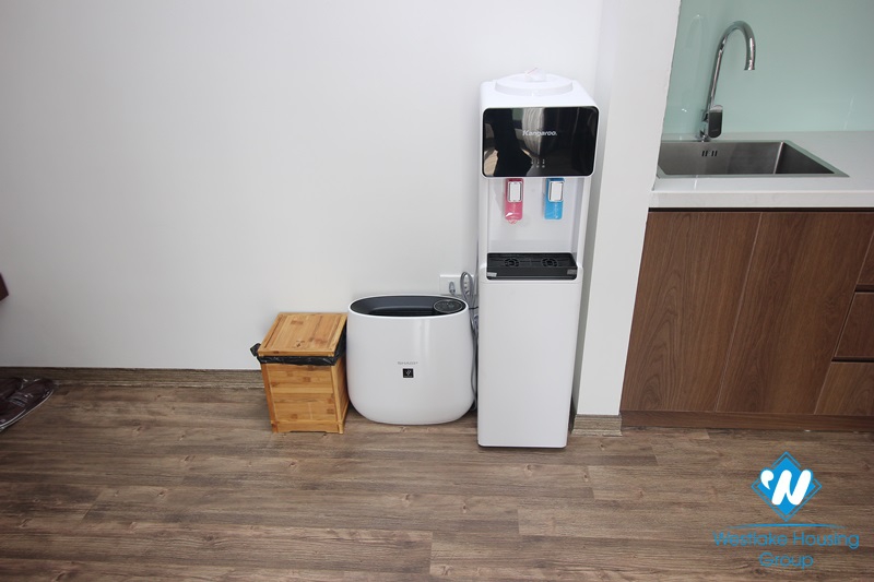 Spacious and bright one-bedroom apartment in Ba Dinh