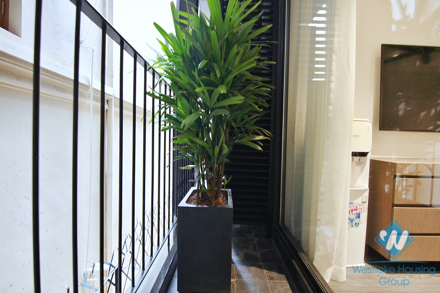 A bright modern  apartment  in Tay Ho for rent