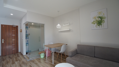 Stylish studio apartment on Dao Tan Str