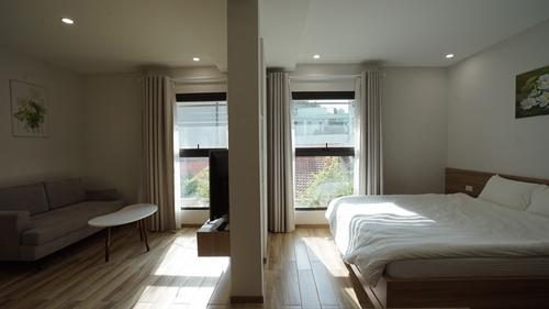 Stylish studio apartment on Dao Tan Str