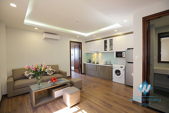 Newly and good quality 1 bedroom apartment for rent in Dao tan, Ba dinh