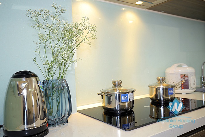 Newly and good quality 1 bedroom apartment for rent in Dao tan, Ba dinh