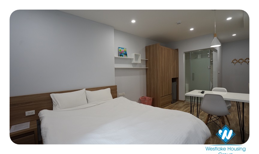 Lovely studio apartment on Dao Tan Str