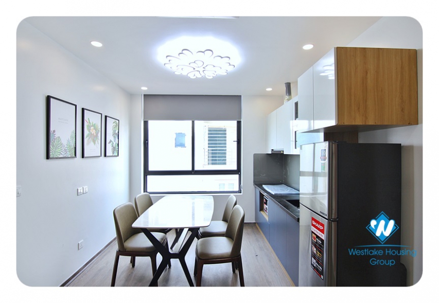 A Brand -New Stuaning 1 bedroom apartment for rent on Trinh Cong Son