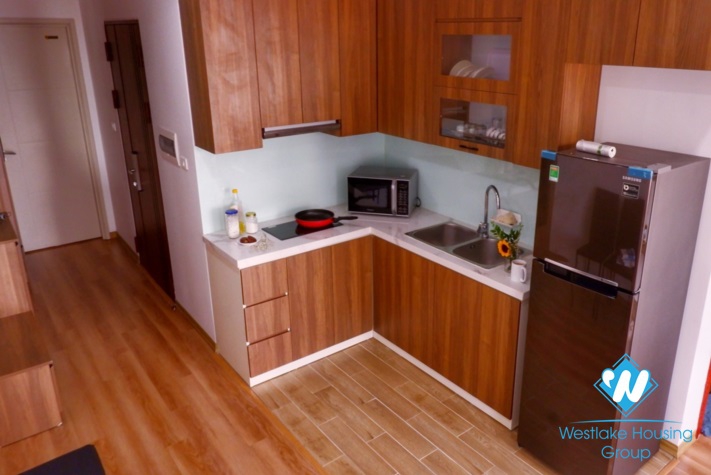 A delightful, spacious apartment for rent on Van Bao, Ba Dinh District