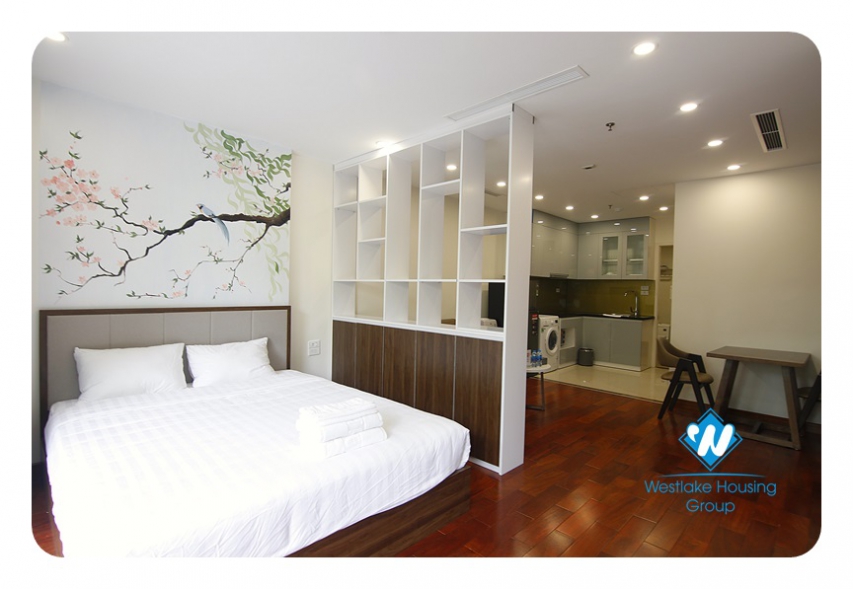 Stunning studio on Phan Ke Binh Str