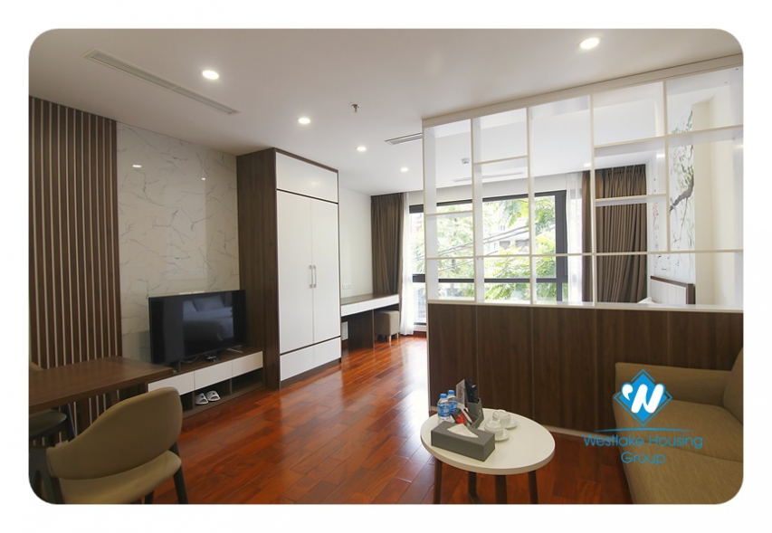 Stunning studio on Phan Ke Binh Str