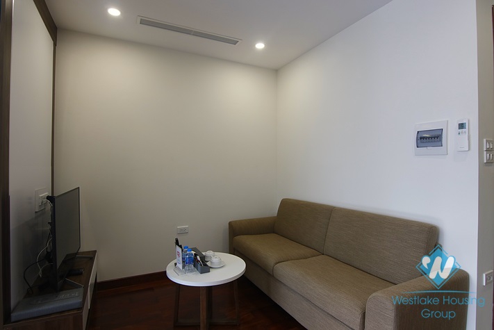 Brand new two bedrooms apartment for rent in Phan Ke Binh st, Ba Dinh