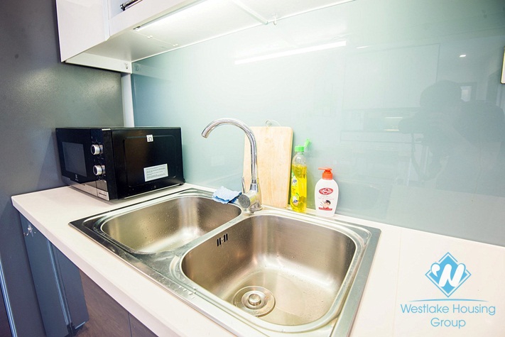 Luxury apartment with lots of light and space and breaking view  2 bedrooms for rent in Metropolis