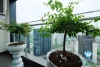 A luxurious, modern penthouse apartment for rent in Sunshine City, Tay Ho