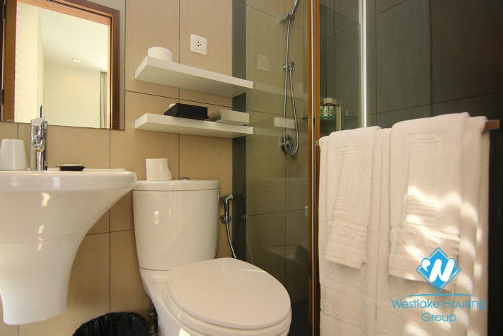 A Luxury High-End 4 bedrooms apartment for rent in Lancaster