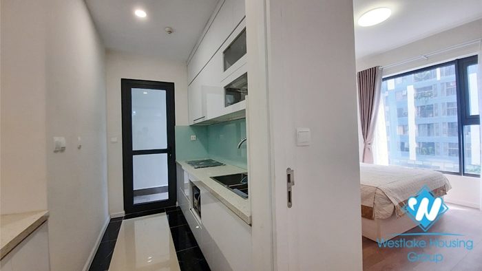 Good quality furnished two bedroom apartment for rent at Imperia Sky Garden 423 Minh Khai