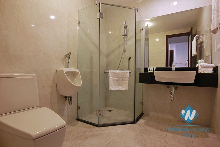 A gorgeous and spacious apartment for rent in Dang Thai Mai, Tay Ho