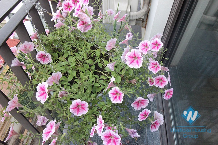 Brand new one bedroom apartment for rent in Kim Ma, Ba Dinh