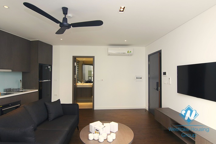 A brand new one bedroom apartment for rent in Buoi street, Ba Dinh