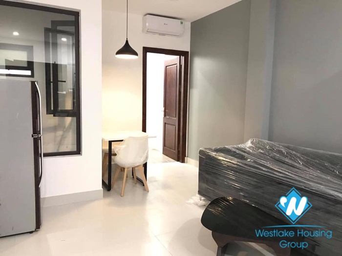 A beautiful 1 bedroom apartment for rent on De La Thanh street