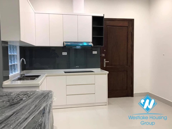 A beautiful 1 bedroom apartment for rent on De La Thanh street