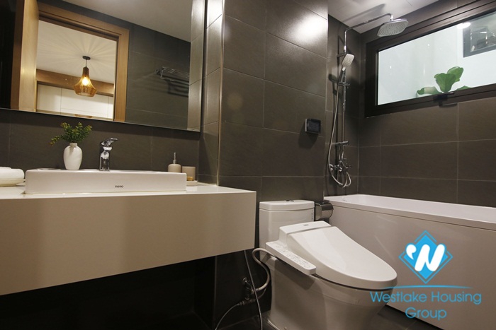 A charming elegant 1 bedroom apartment for rent on Lieu Giai street