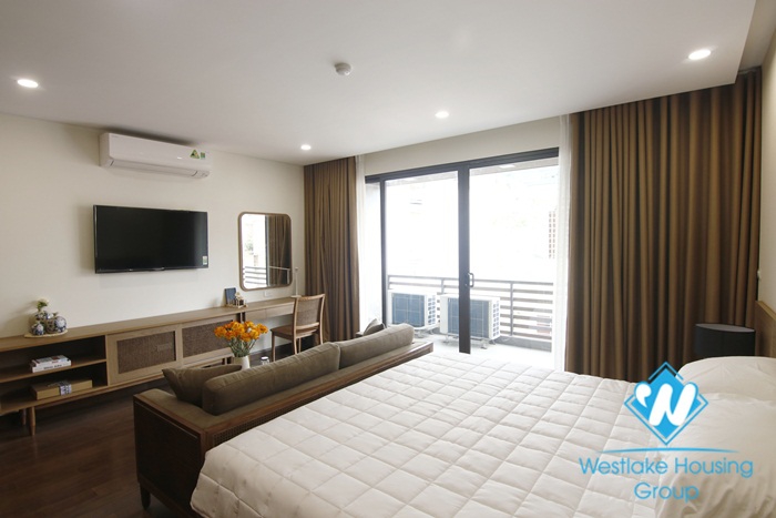 A charming elegant 1 bedroom apartment for rent on Lieu Giai street