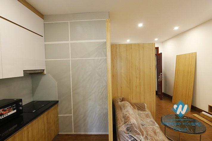 A nice 2 bedroom apartment for rent on Hoang Hoa Tham street