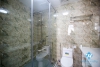 Affordable villa with large patio for rent in Tay Ho