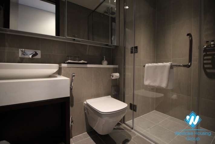 A Luxury High-End 3 bedrooms apartment for rent on Doi Can