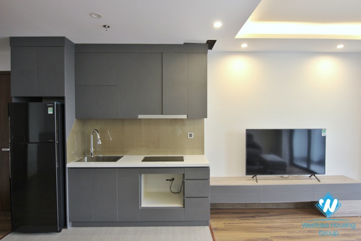Brand - new spacious  and modern  1 Bedroom Apartment for rent 