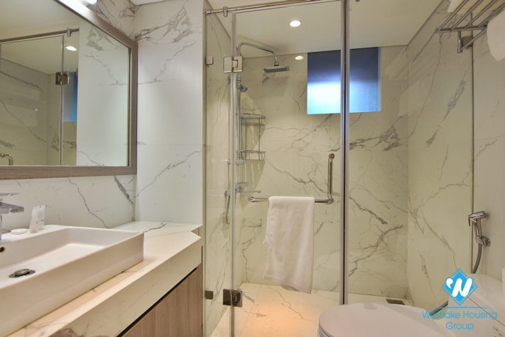 A Luxury high quality apartment in Nguyen Dinh Thi st, near Lotte building for rent