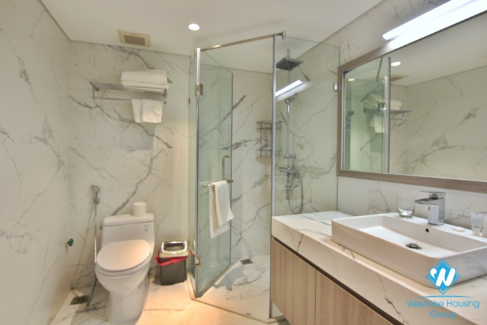 A Luxury high quality apartment in Nguyen Dinh Thi st, near Lotte building for rent