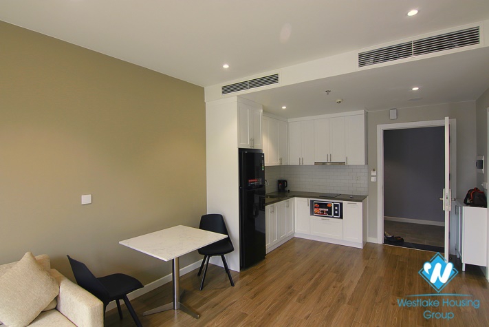 A brand-new and modern design apartment for rent in Thuy Khue  