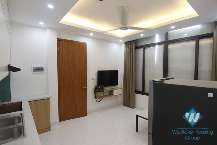 Brand new 2 bedrooms apartment for rent in Doi Can st, Ba Dinh