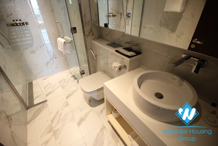 Splendid, high class serviced apartment for rent on Doi Can, Ba Dinh