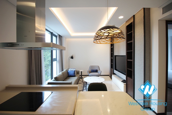 Charming 1 bedroom apartment in top class quality for rent on Doi Can street