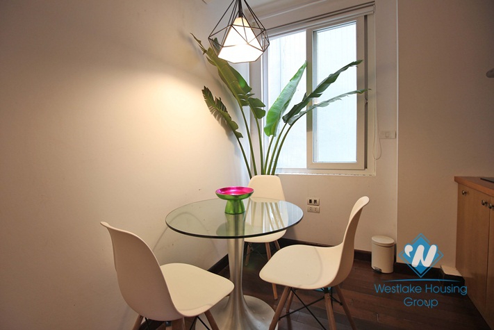 Stylish modern style apartment for rent in Tay Ho Westlake