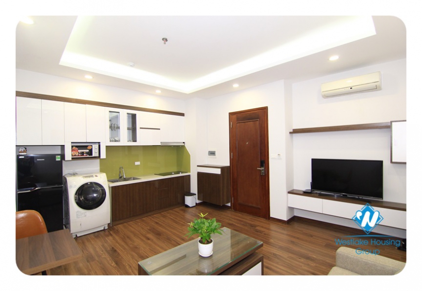 Modern 1-bedroom apartment on Dao Tan Str