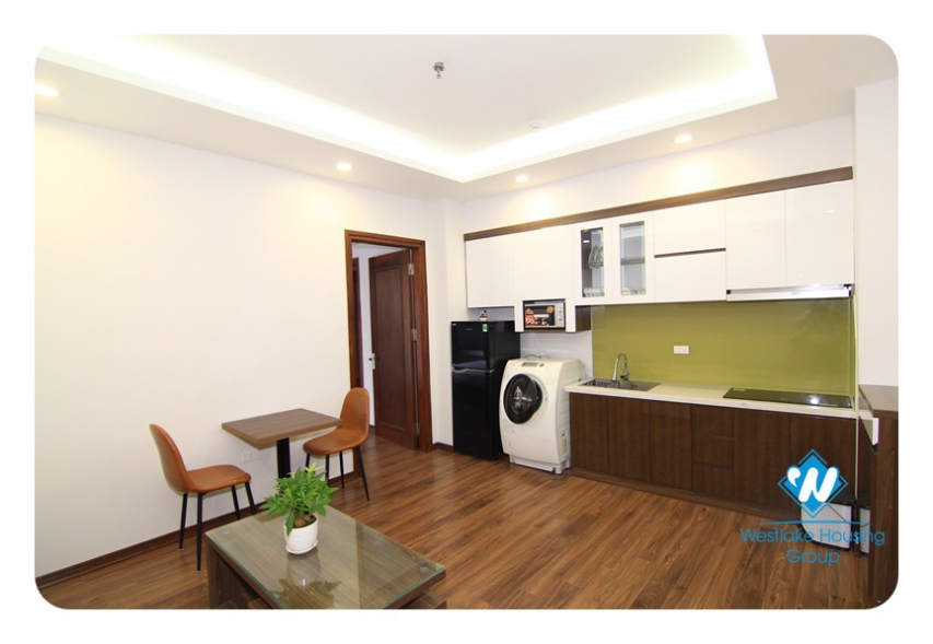 Modern 1-bedroom apartment on Dao Tan Str