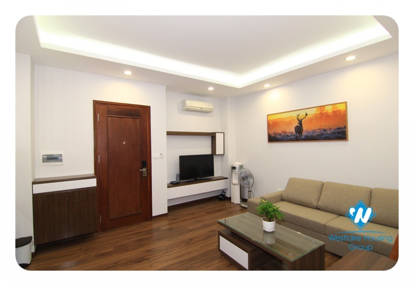 Modern 1-bedroom apartment on Dao Tan Str