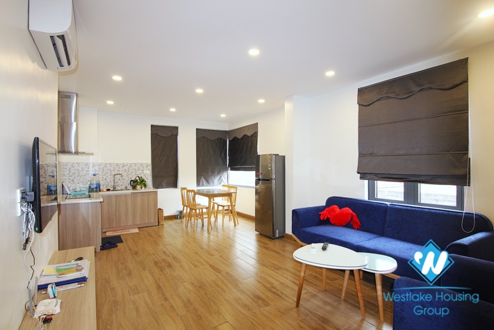 Nice-Spacious one bedroom apartment for rent in Nhat Chieu