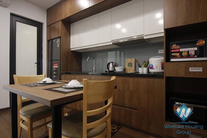 A brand new 1 bedroom apartment with beautiful view in Tay ho, Ha noi