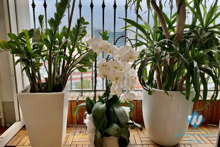 Beautiful 3 bedroom apartment for rent in Vinhome Nguyen Chi Thanh, Ha noi