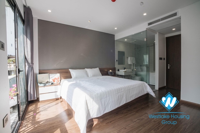  A sophisticated  funky and eclectic two bedroom apartment for rent in Hoan Kiem