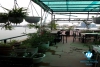  A Lake view Spacious studio  for rent on Nhat Chieu street